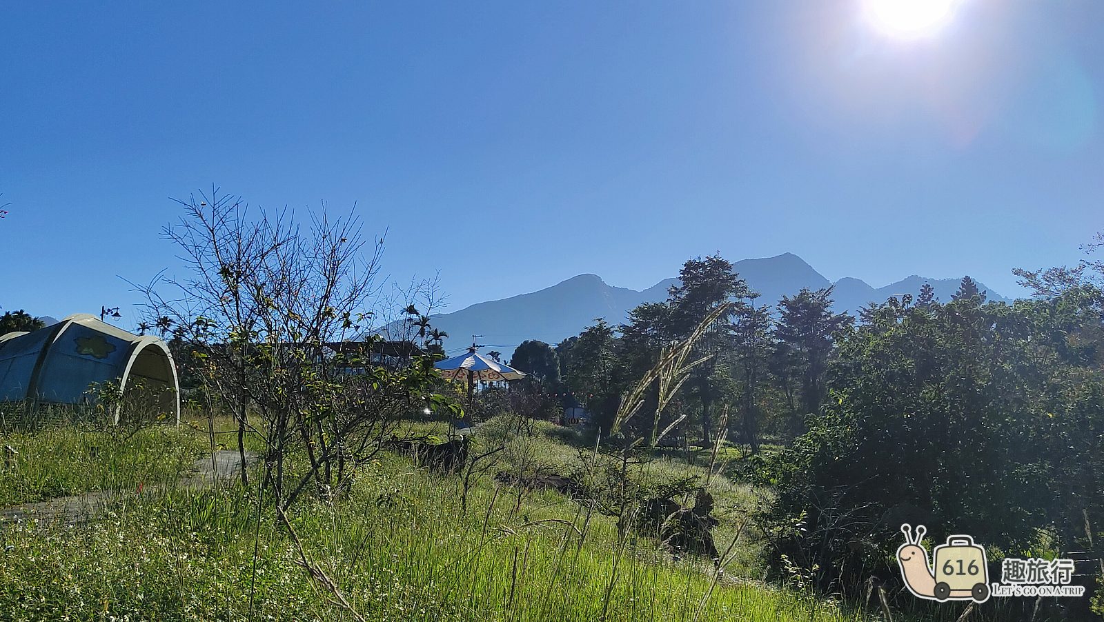 永誠民宿 竹林與茶園交織的山林風景